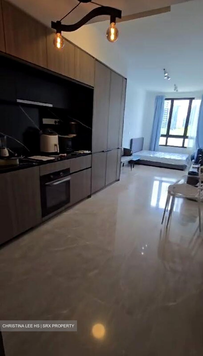 Irwell Hill Residences (D9), Apartment #486673671